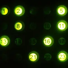 Czy warto grać w lotto? Odkryj prawdę o szansach i stratach