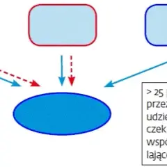 Jak obliczyć odsetki od pożyczki od udziałowca i uniknąć błędów