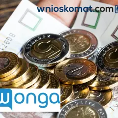 Czy w Wonga można dobrać pożyczkę? Poznaj warunki i możliwości