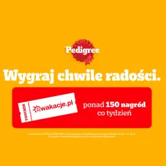 Konkursy i loterie: poznaj różnice i uniknij kosztownych błędów