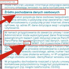 Czy Provident sprawdza BIK? Co musisz wiedzieć przed wnioskiem