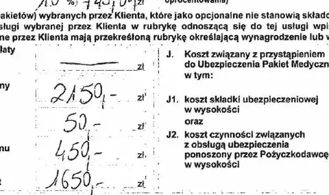 Jak działa windykacja Providenta i jak uniknąć problemów z długami