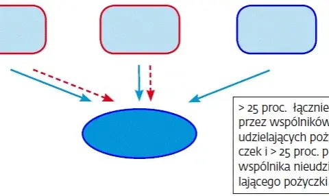 Jak obliczyć odsetki od pożyczki od udziałowca i uniknąć błędów