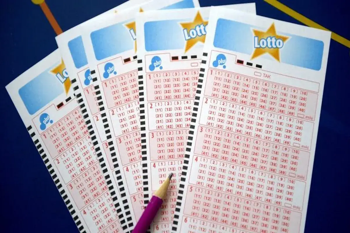 Kupony Lotto z zaznaczonymi liczbami. Czy to przypadek, dlaczego ludzie skreślają te same liczby co 80 innych zwycięzców?