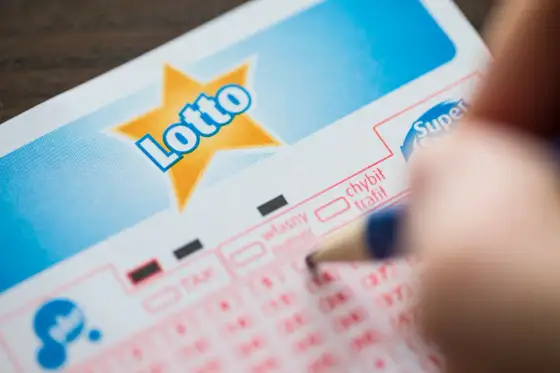 80 wygranych w Lotto: Jak to możliwe? Wyjaśnienie zagadki